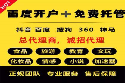 深入了解SEM托管公司的操作技巧与成功案例